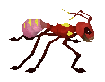 Giant Ant Soldier
