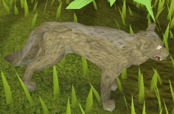 Jungle Wolf
