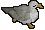 Seagull -1-