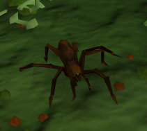 Giant spider -3-