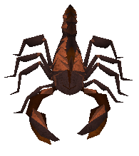 King Scorpion