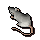 Cave mouse