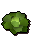 Cabbage -Draynor-